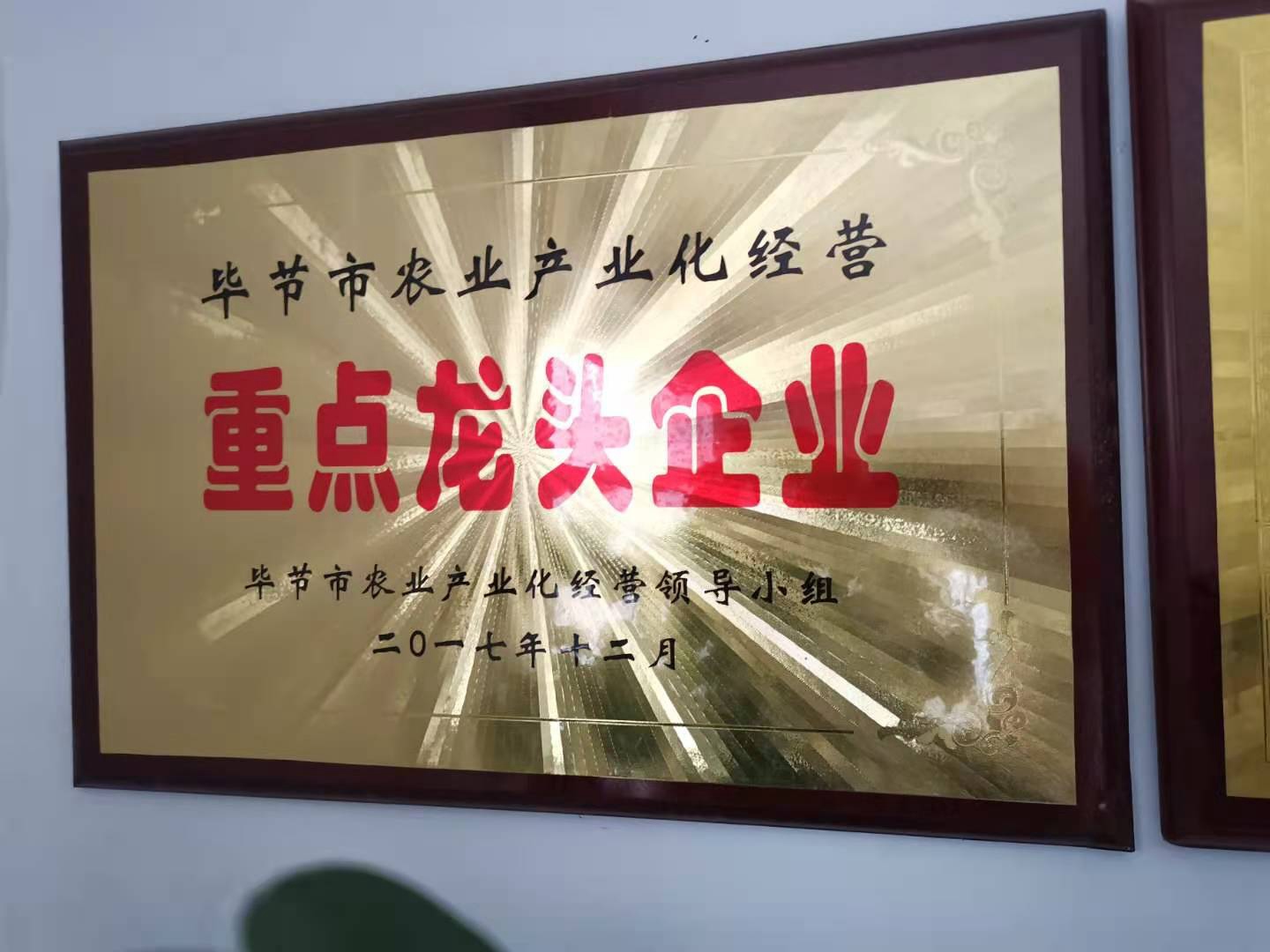 毕节市农业产业化经营重点龙头企业