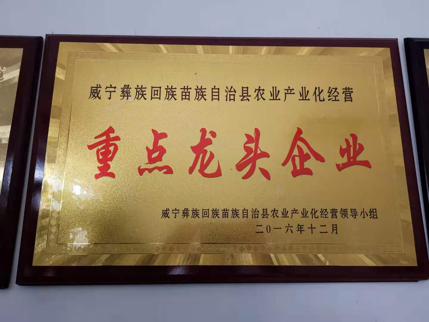 重点龙头企业